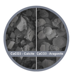 Industriel, Adoucisseur d'eau Anticalcaire innovant IPS KalyxX IPS Industry RedLine 2" DN50 (IPSINRDN50)